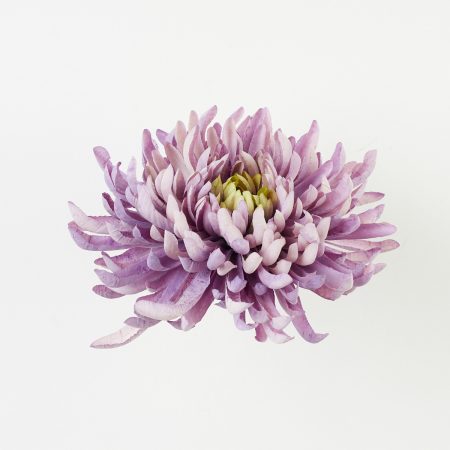 thumbnail-image
