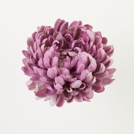 thumbnail-image