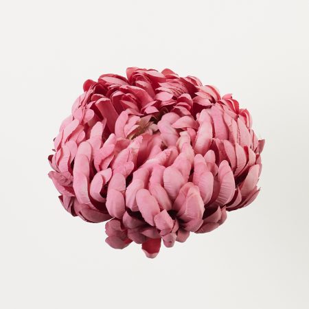 thumbnail-image