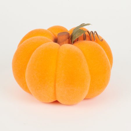 thumbnail-image