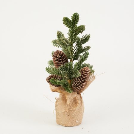 thumbnail-image