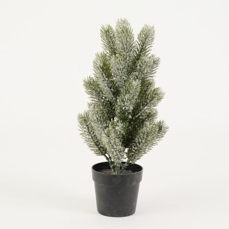 thumbnail-image