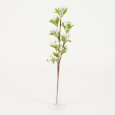 thumbnail-image