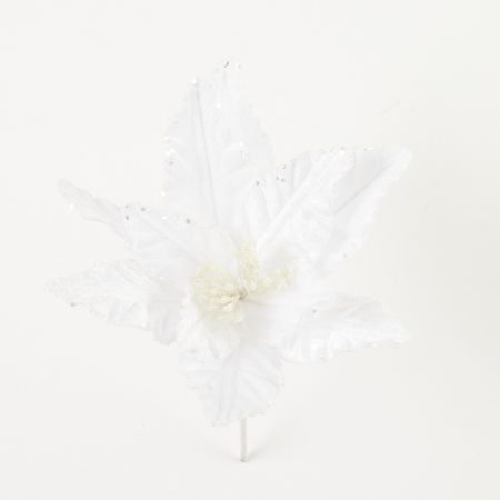 thumbnail-image