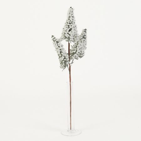 thumbnail-image
