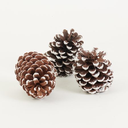 thumbnail-image
