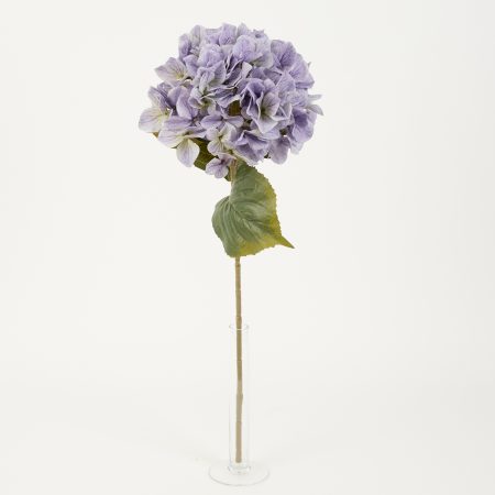 thumbnail-image