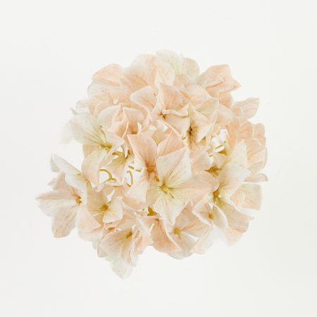 thumbnail-image
