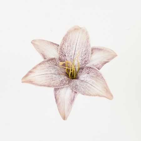 thumbnail-image