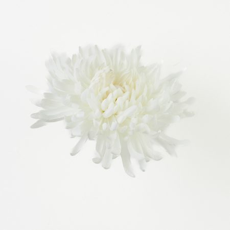 thumbnail-image