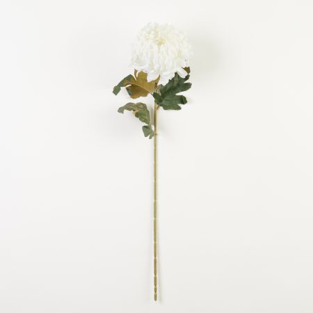 thumbnail-image