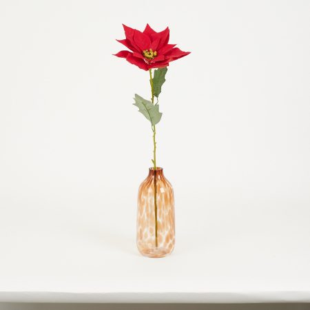 thumbnail-image