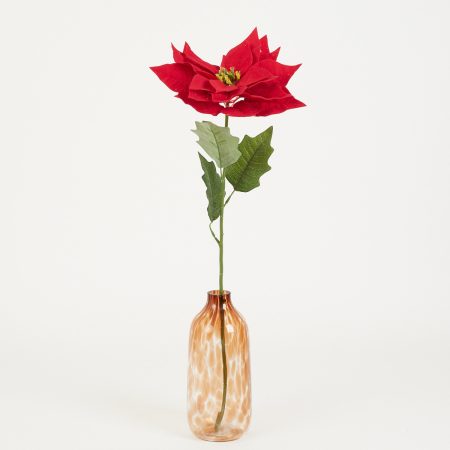 thumbnail-image